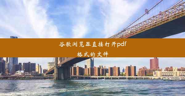 谷歌浏览器直接打开pdf格式的文件