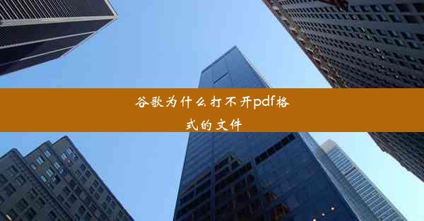 谷歌为什么打不开pdf格式的文件