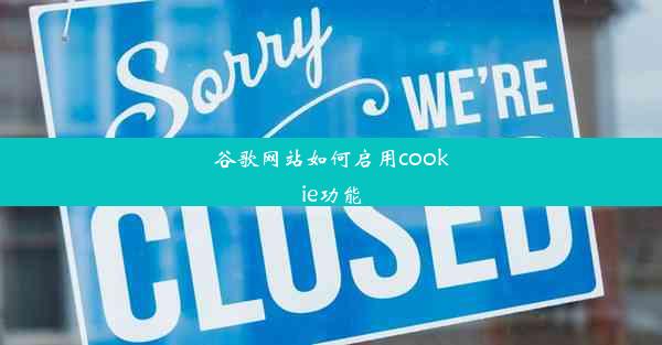 谷歌网站如何启用cookie功能