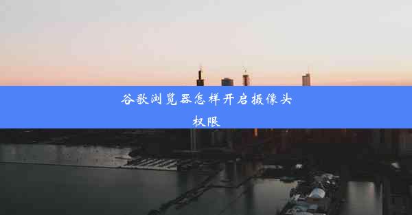 谷歌浏览器怎样开启摄像头权限