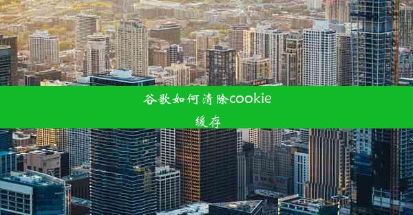 谷歌如何清除cookie缓存