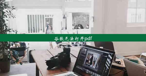 谷歌无法打开pdf