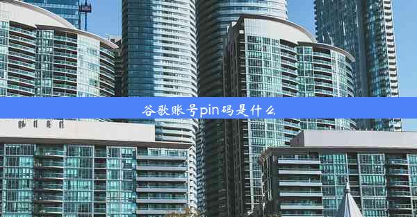 谷歌账号pin码是什么