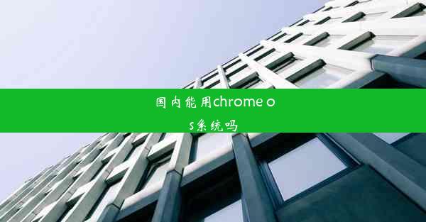 国内能用chrome os系统吗