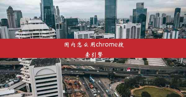 国内怎么用chrome搜索引擎