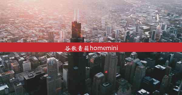 谷歌音箱homemini