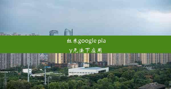 红米google play无法下应用