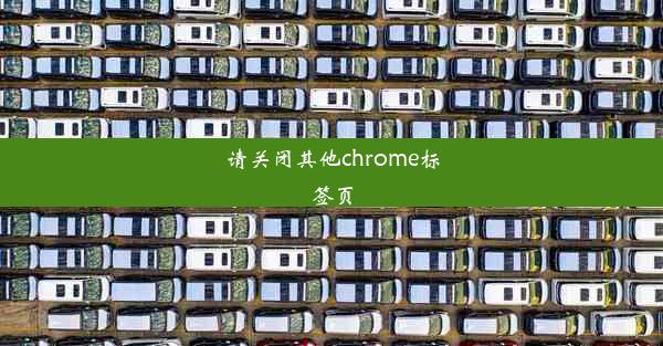 请关闭其他chrome标签页