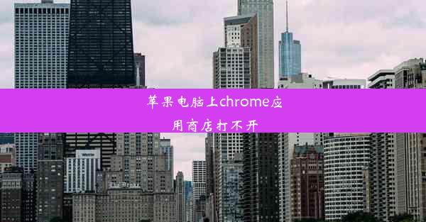 苹果电脑上chrome应用商店打不开