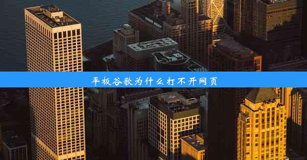 平板谷歌为什么打不开网页