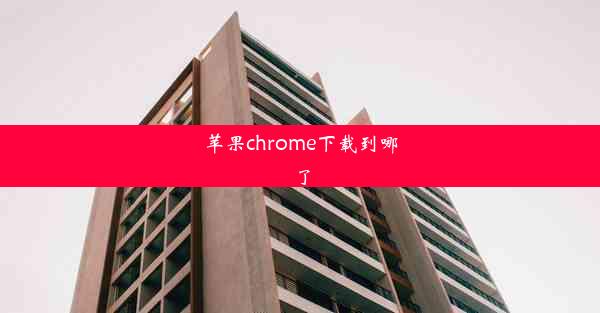 苹果chrome下载到哪了