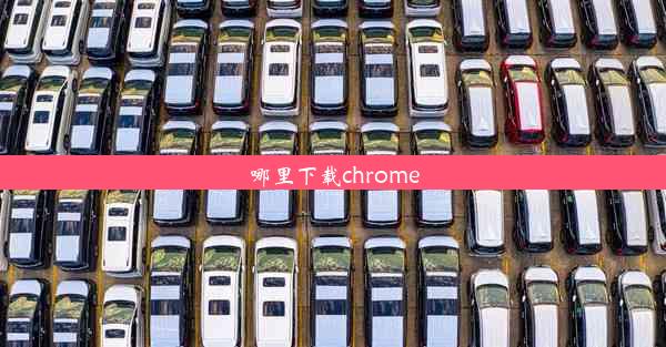 哪里下载chrome