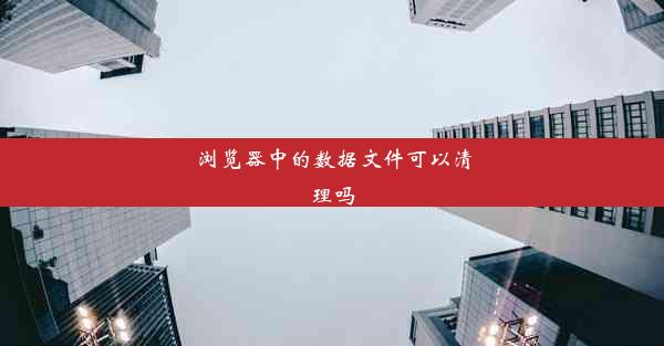 浏览器中的数据文件可以清理吗