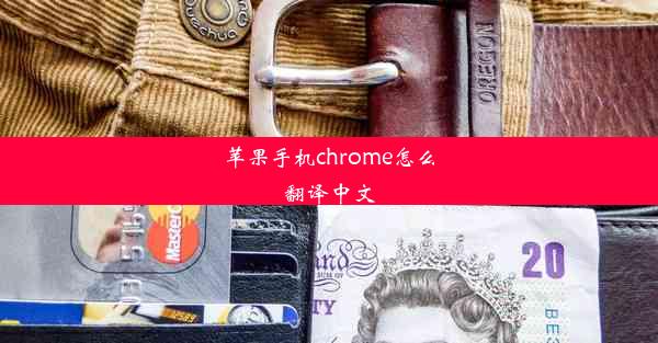 苹果手机chrome怎么翻译中文